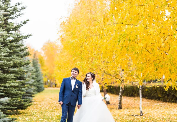 Noivo e noiva no parque de outono . — Fotografia de Stock