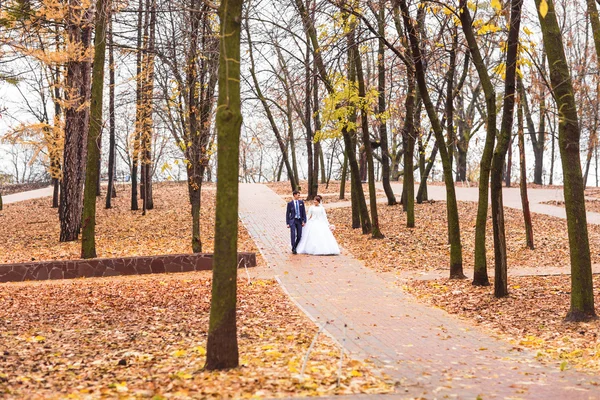 Bruid en bruidegom in herfst park. — Stockfoto