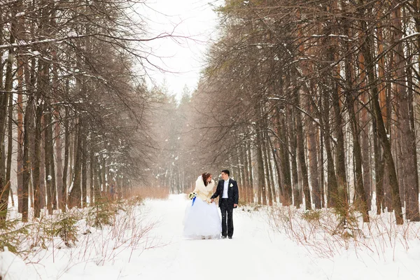 冬の結婚式のカップル — ストック写真