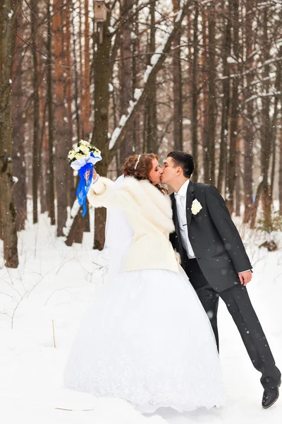 Hochzeitspaar im Winter — Stockfoto
