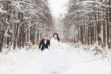 Gelin ve damat bir kış park üzerinde çalışıyor