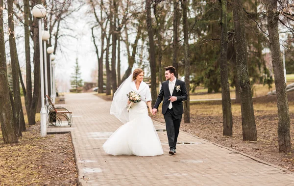 Noivo e noiva casamento outono — Fotografia de Stock