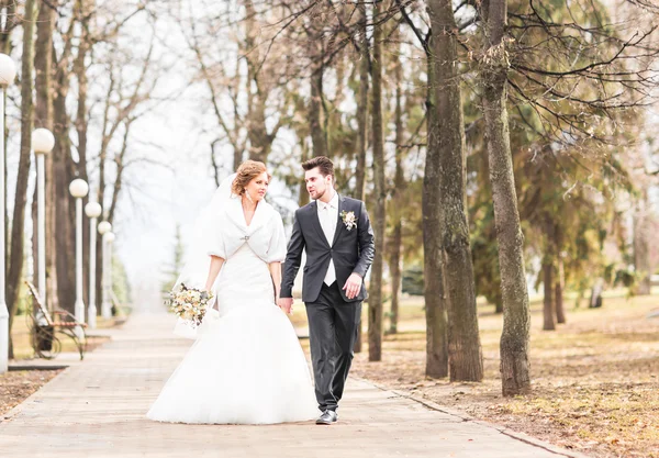 Noivo e noiva casamento outono — Fotografia de Stock