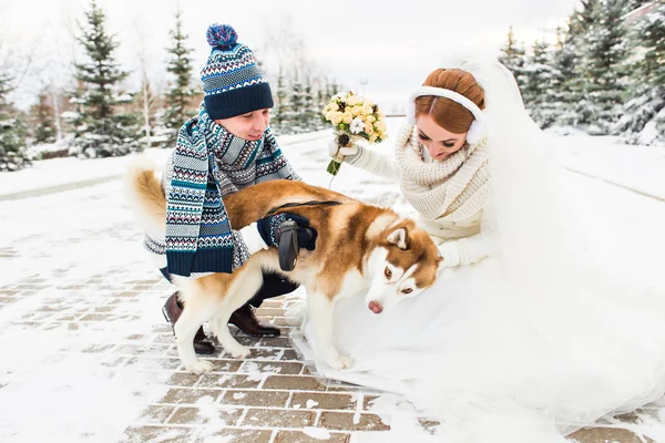 冬の散歩に犬を若いカップルします。 — ストック写真