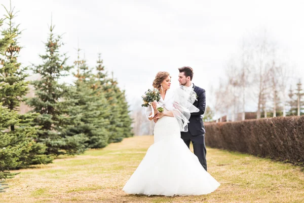 Avrupa gelin ve damat parkta dans — Stok fotoğraf