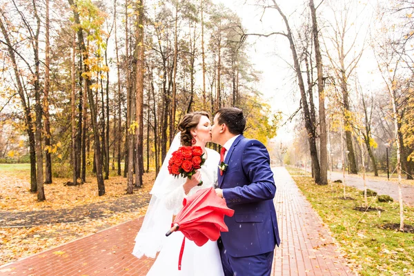 Novia y novio con paraguas . — Foto de Stock