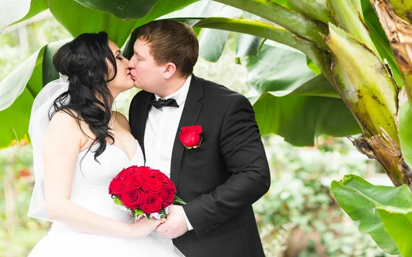 Novia y novio besándose bajo las palmeras. Concepto vacaciones de verano . — Foto de Stock