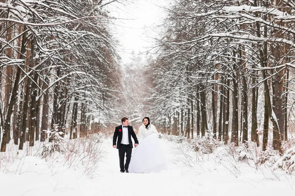 Bruidspaar op de winterdag — Stockfoto