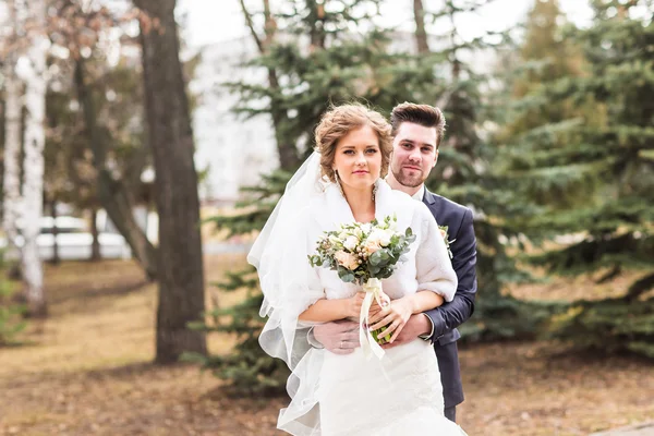 Park, gelin ve damat sonbahar düğün — Stok fotoğraf