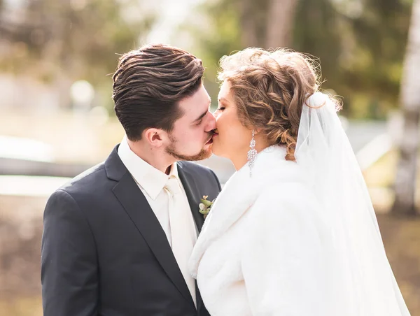 Novia y novio besándose — Foto de Stock