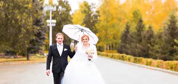 Το γάμο το φθινόπωρο στο πάρκο, νύφη και γαμπρός — Φωτογραφία Αρχείου