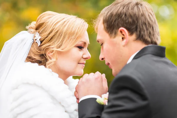 Close-up van bruid en bruidegom in herfst park — Stockfoto