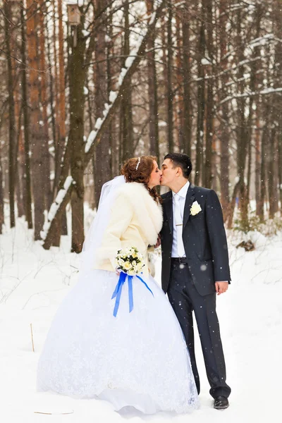 Hochzeitspaar am Wintertag — Stockfoto