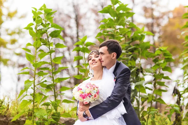 Őszi park újonnan házas pár — Stock Fotó
