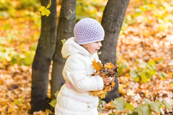 Linda niña en el bosque de otoño —  Fotos de Stock