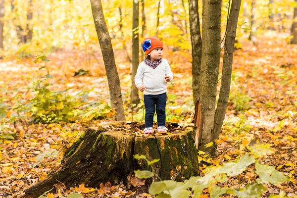 Söt liten flicka i höstskogen — Stockfoto