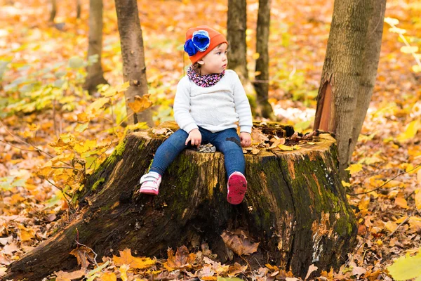 Menina bonito na floresta de outono — Fotografia de Stock