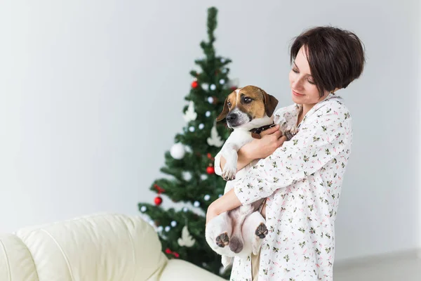 犬を持つ幸せな女性。プレゼント付きのクリスマスツリー。装飾されたリビングルーム — ストック写真