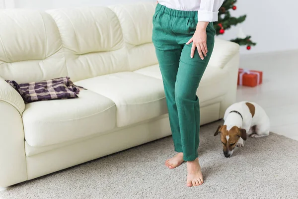 Šťastná žena se psem. Vánoční stromek s dárky pod ním. Dekorovaný obývací pokoj — Stock fotografie