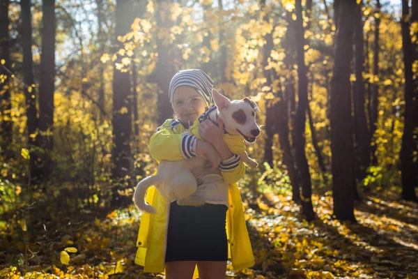Criança brincando no parque de outono com um Jack Russell terrier. Kid e Jack Russell cão terrier. — Fotografia de Stock