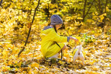 Jack Russell Terrier köpeği olan küçük bir kız. Çocuk, çocukluk, arkadaşlık ve evcil hayvan konsepti. Sonbahar parkında yürüyen küçük bir köpek..