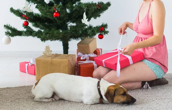Großaufnahme einer Frau mit einem schönen Hund, der eine Geschenkbox unter dem Weihnachtsbaum öffnet. Urlaubskonzept. — Stockfoto