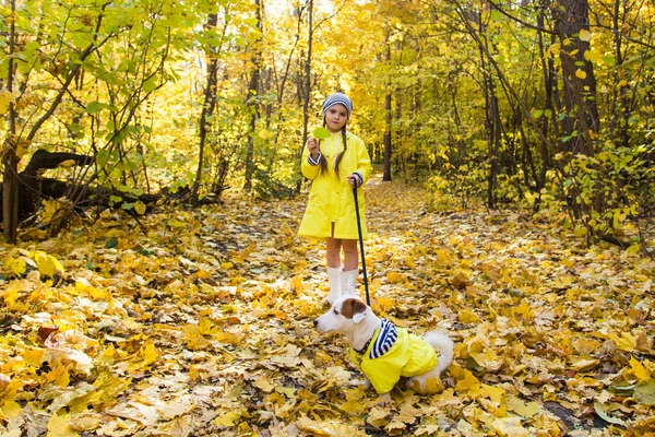 Κοριτσάκι με σκύλο Τζακ Ράσελ Τεριέ. Παιδί, παιδική ηλικία, φιλία και έννοια κατοικίδιων ζώων. Μικρό σκυλί με τα πόδια στο πάρκο φθινόπωρο. — Φωτογραφία Αρχείου