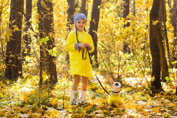 Retrato de una niña sobre un fondo de hojas anaranjadas y amarillas en un día soleado otoñal. Pequeño cachorro Jack Russell Terrier. Concepto de mascotas y niños. Amistad. —  Fotos de Stock