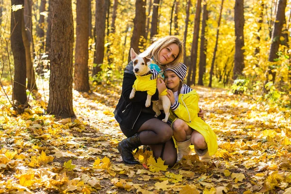 Kvinna med sin hund i höstparken. Flicka leker med Jack Russell terrier utomhus. Sällskapsdjur och människor koncept. — Stockfoto