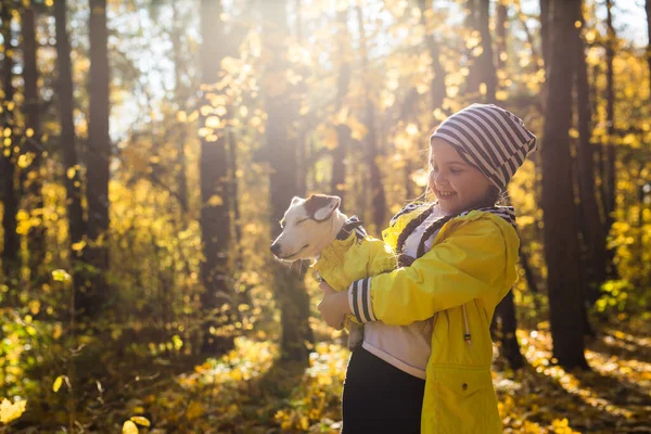 Niño jugando en el parque de otoño con un Jack Russell Terrier. Niño y gato russell terrier perro. —  Fotos de Stock