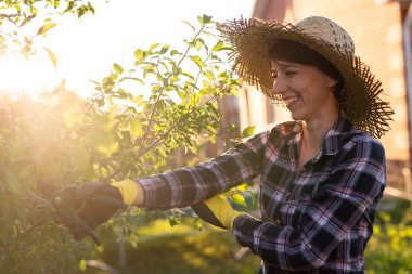 Neşeli beyaz kadın bahçıvanın bahçedeki elma ağacını incelerken ağaçtan gereksiz dal ve yapraklar kesmesi. Bahçıvanlık ve hobi kavramı