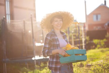 Pozitif genç kadın bahçıvan firmasındaki hasat sırasında elinde bir kutu limon tutuyor. Organik bahçe konsepti