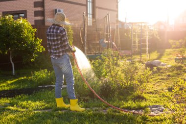 Beyaz kadın bahçıvan iş kıyafetleri içinde güneşli yaz gününde sebze bahçesindeki yatakları suluyor. Bahçede ve çiftlikte çalışma kavramı