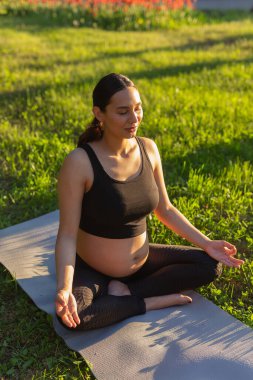 Tatlı, genç, beyaz, hamile bir kadın güneşli bir yaz akşamında çimenlikte halıda otururken meditasyon yapıyor. Pasifizasyon ve enerji artırımı kavramı