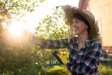Neşeli beyaz kadın bahçıvanın bahçedeki elma ağacını incelerken ağaçtan gereksiz dal ve yapraklar kesmesi. Bahçıvanlık ve hobi kavramı