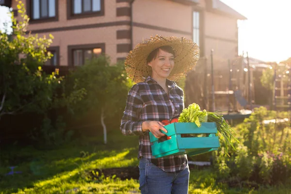 Трудолюбивая молодая женщина-садовница в соломенной шляпе забирает коробку с овощами в солнечный летний день. Концепция органического земледелия и растениеводства — стоковое фото