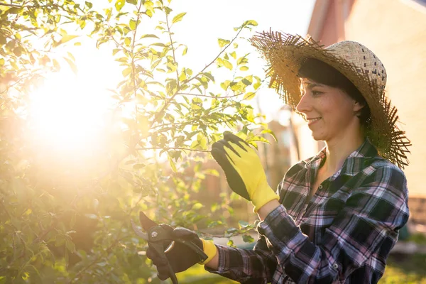 Neşeli beyaz kadın bahçıvanın bahçedeki elma ağacını incelerken ağaçtan gereksiz dal ve yapraklar kesmesi. Bahçıvanlık ve hobi kavramı — Stok fotoğraf