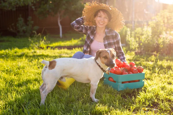 若い女性は緑の草の上に座って、彼女の犬のジャック・ラッセル・テリアが近くに立っています。ペットオーナーと友情のコンセプト. — ストック写真