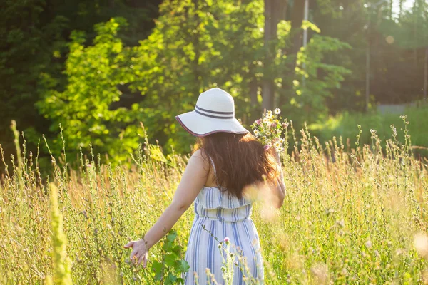 Junge Frau pflückt an Sommerabenden Blumen auf der Wiese — Stockfoto