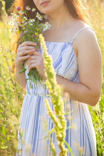 Gros plan de la jeune femme cueillant des fleurs dans la prairie en soirée d'été. — Photo