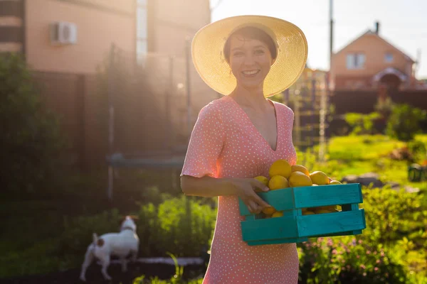 Молодая кавказская позитивная женщина-садовница в шляпе и розовом платье держит коробку с лимонами в руках в солнечный летний день. Концепция сельского хозяйства и органического садоводства — стоковое фото