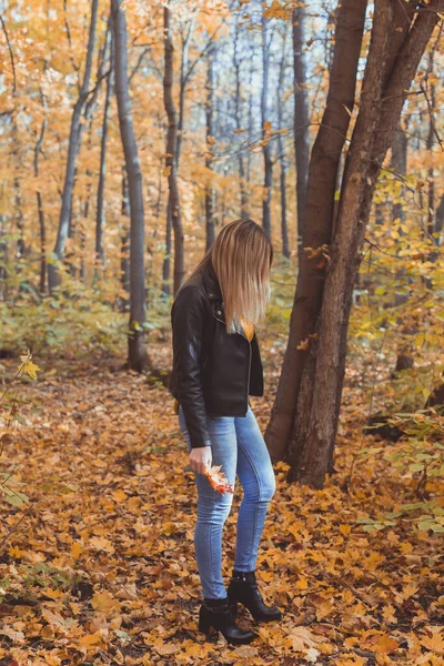 Młoda kobieta trzymająca jesienne liście w jesiennym parku. Koncepcja sezonowości, stylu życia i wypoczynku. — Zdjęcie stockowe