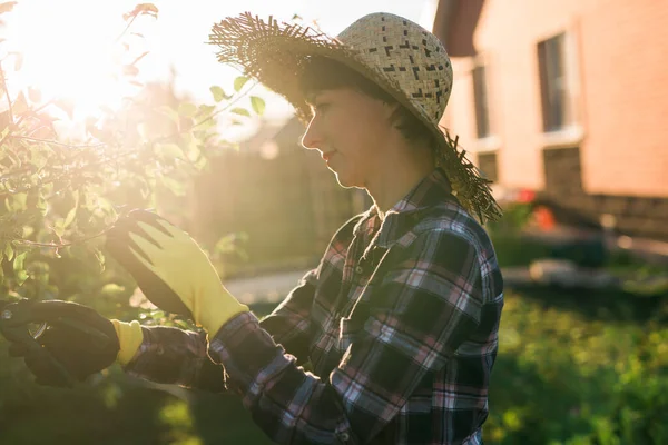 Vista lateral de alegre joven caucásica jardinero corta ramas innecesarias y hojas de un árbol con tijeras de podar mientras se procesa un manzano en el jardín. Concepto de jardinería y hobby — Foto de Stock