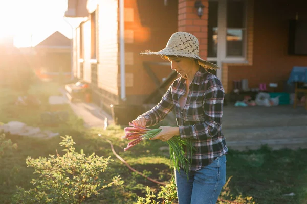 Радостная женщина садовник держит кучу зеленого лука в солнечный теплый весенний день. Уход за растениями и сбор урожая и хобби — стоковое фото