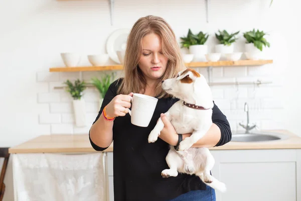 Feliz mujer propietaria de jack russell terrier perro, siente la responsabilidad de cuidar de la mascota, de pie contra el fondo de la cocina. Personas y relación con animales — Foto de Stock