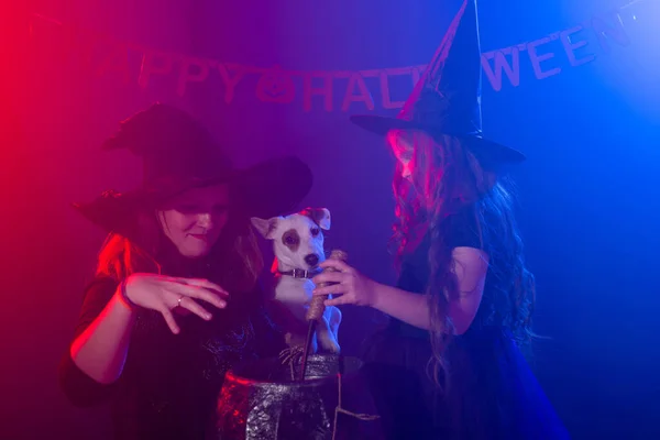 Lustige Kindermädchen und -frauen in Hexenkostümen zu Halloween mit Kürbis Jack. — Stockfoto