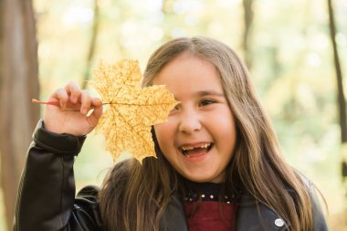 Küçük tatlı Asyalı kızın sonbahar portresi. Çocuklar, sonbahar ve sezon konsepti.