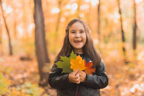 Retrato de outono de menina asiática bonito pouco. Crianças, outono e estação conceito. — Fotografia de Stock