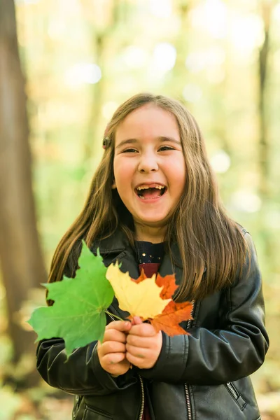 Retrato emocional de outono de criança rindo andando no parque ou na floresta — Fotografia de Stock