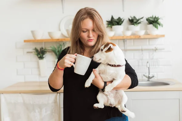 Happy female owner of jack russell terrier dog, feels responsibility of caring about pet, standing against kitchen background. People and relationship with animals — Stock Photo, Image